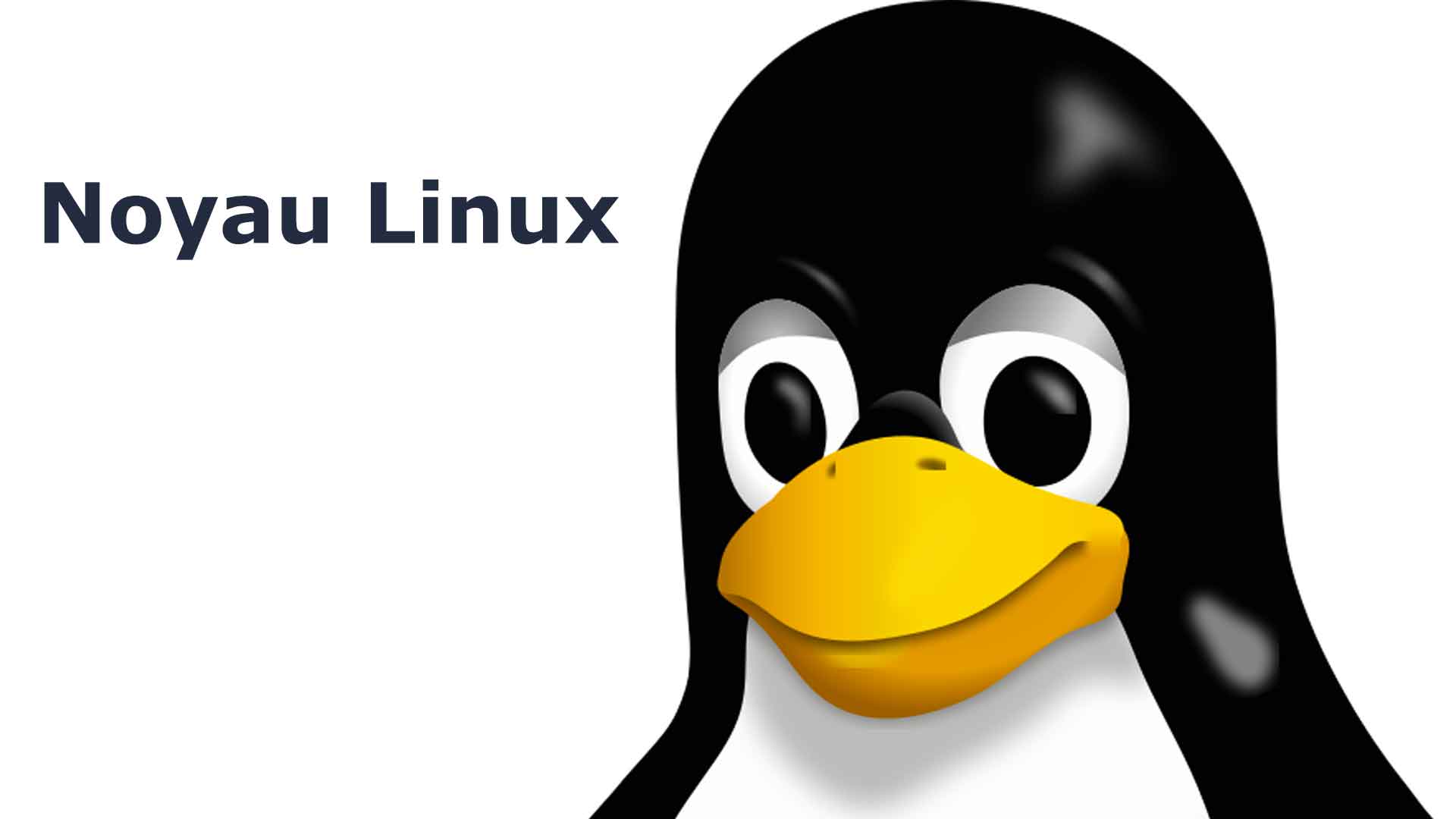Linux et l’Open Source, Nvidia passe à la vitesse supérieure